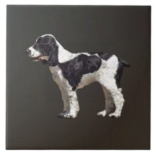 Black and White Spaniel Tile