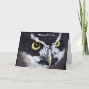 Black and White Spectacled Owl Birthday Card