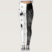 Black and White Spider