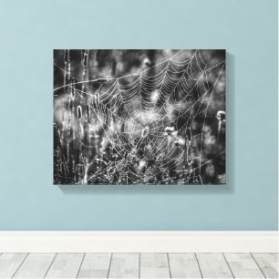 Black and White Spider Web Nature Canvas Print