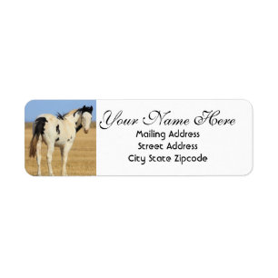 Black and White Spotted Horse Return Address