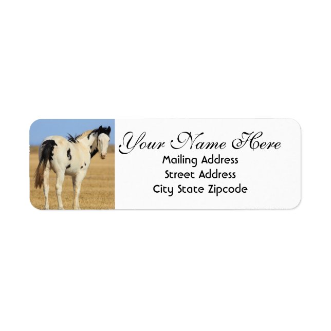 Black and White Spotted Horse Return Address (Front)