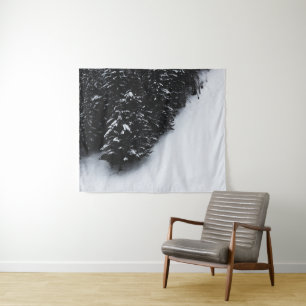 Black and white spruce forest and snow tapestry