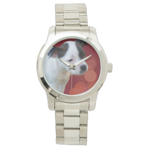 Black And White Staffordshire Bull Terrier Puppy, Watch