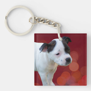 Black And White Staffy Puppy, Keychain