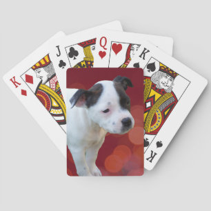Black And White Staffy Puppy, Playing Cards