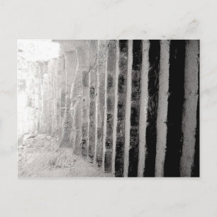 Black and White Stairway Postcard