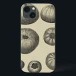 Black and White Starfish iPhone 13 Case<br><div class="desc">Just look at all these shape and sizes of the black and white sand dollars in this photo. If you were ever curious about the different stages of how a sand dollar is formed, get this unique image today. In this photo, it shows the seven different stages the sand dollar...</div>