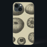 Black and White Starfish iPhone 13 Case<br><div class="desc">Just look at all these shape and sizes of the black and white sand dollars in this photo. If you were ever curious about the different stages of how a sand dollar is formed, get this unique image today. In this photo, it shows the seven different stages the sand dollar...</div>