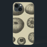 Black and White Starfish iPhone 13 Case<br><div class="desc">Just look at all these shape and sizes of the black and white sand dollars in this photo. If you were ever curious about the different stages of how a sand dollar is formed, get this unique image today. In this photo, it shows the seven different stages the sand dollar...</div>