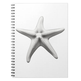 Black and White Starfish Notebook