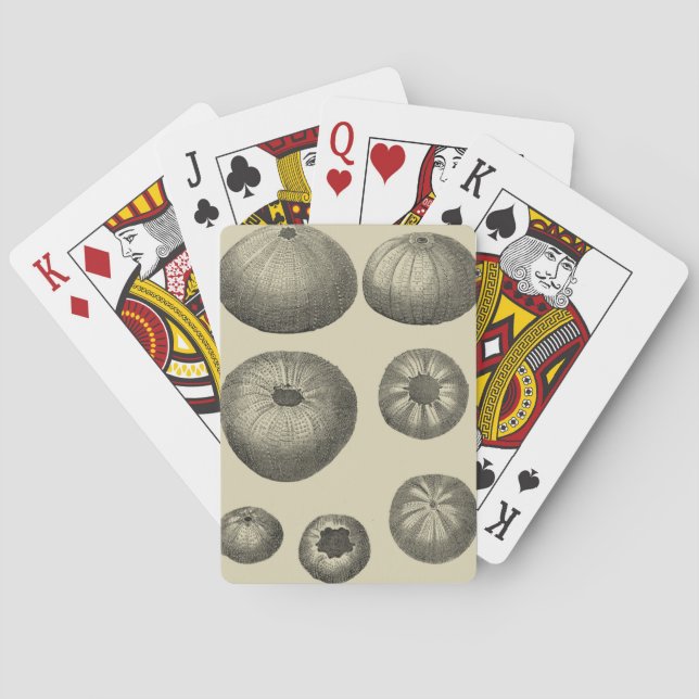 Black and White Starfish Playing Cards (Back)