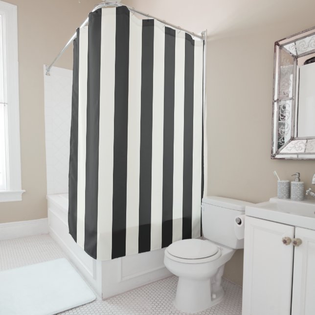 Black and White Striped vertical stripes (In Situ)