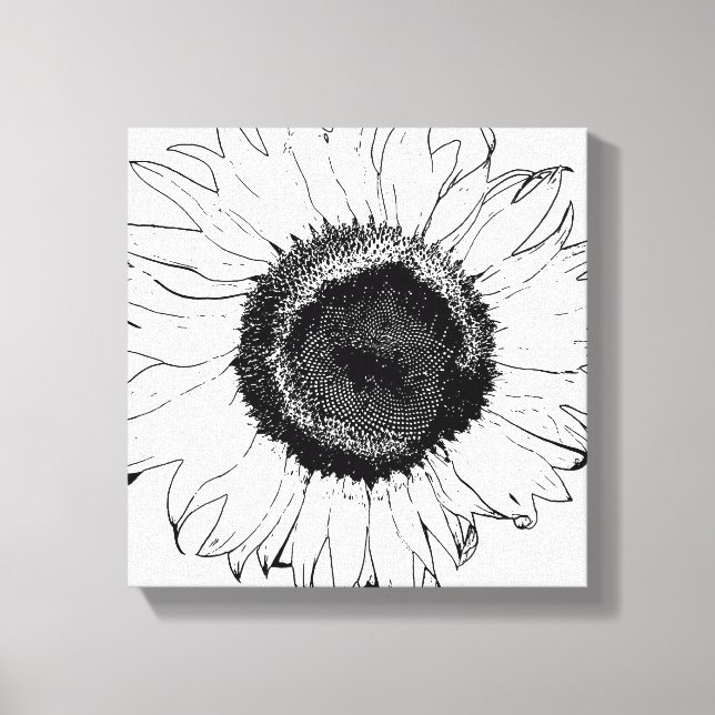 Black and White Sunflower Canvas Print (Front)