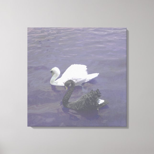 Black and White Swan Couple on a Lake Canvas Print (Front)