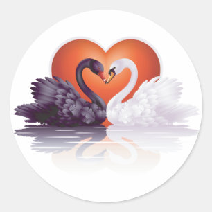 Black And White Swans Stickers
