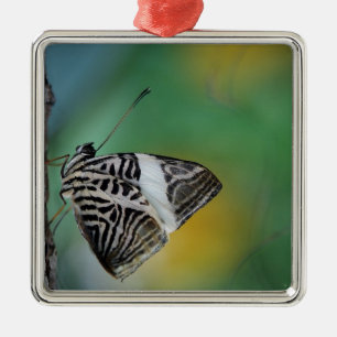 Black and White Tiger Butterfly Metal Ornament