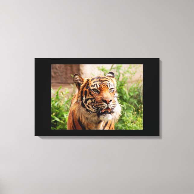 Black and white tiger canvas print (Front)