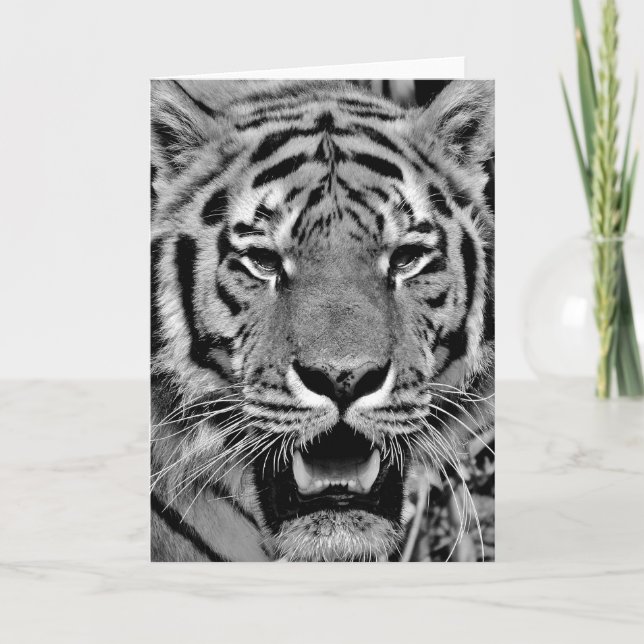 Black and White Tiger Face Card (Front)