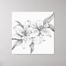 Black and White Tiger Lily