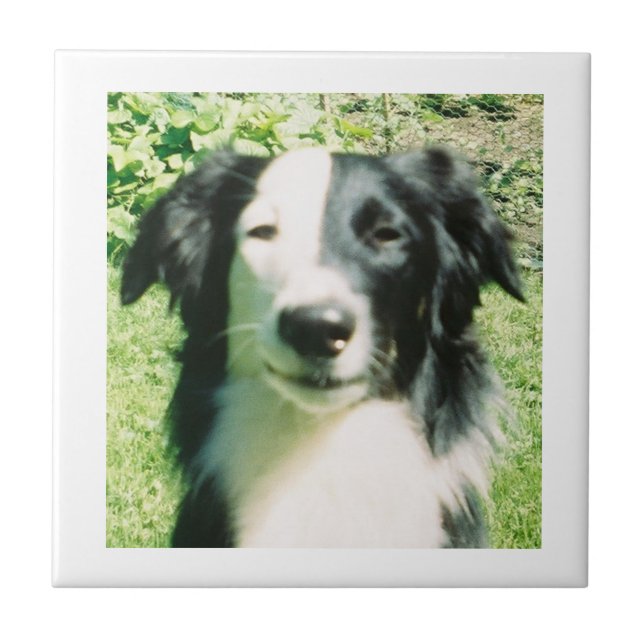 Black And White Tile (Front)