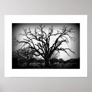black and white tree in cemetery poster