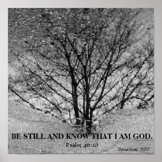 Black and white tree reflection poster