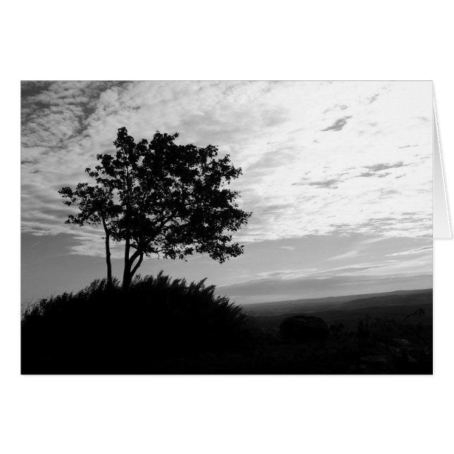 Black and White Tree Silhouette (Front Horizontal)