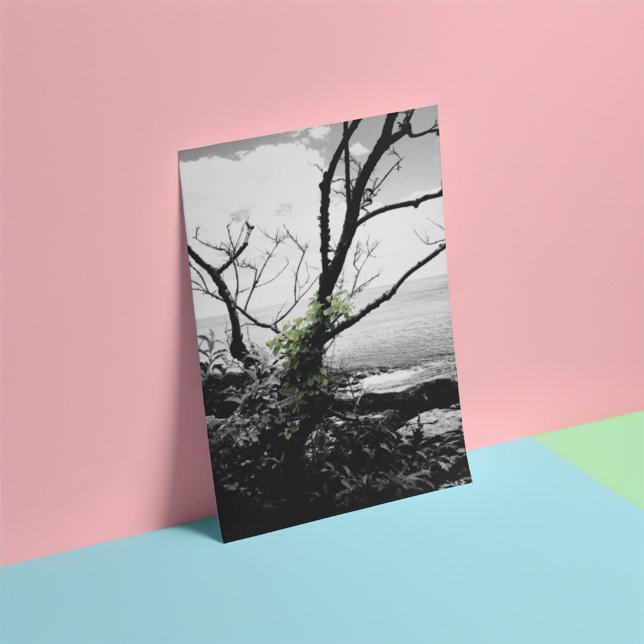 Black And White Tree With Green Vines Photo Print (Creator Uploaded)