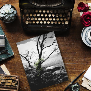 Black And White Tree With Green Vines Postcard