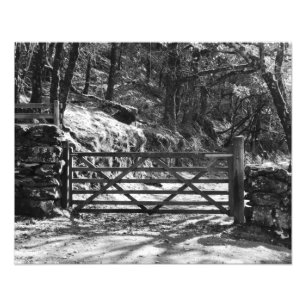 BLACK AND WHITE TREES AND GATE PHOTO PRINT