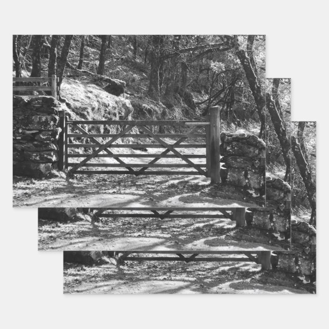 BLACK AND WHITE TREES AND GATE   WRAPPING PAPER SHEET (Set)