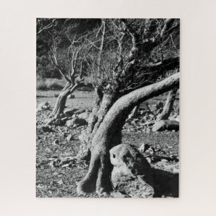 BLACK AND WHITE TREES  JIGSAW PUZZLE