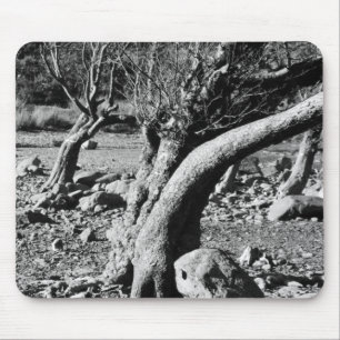 BLACK AND WHITE TREES MOUSE PAD