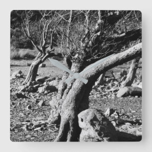 BLACK AND WHITE TREES SQUARE WALL CLOCK