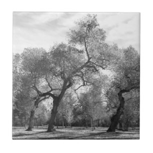 Black and White Trees Tile
