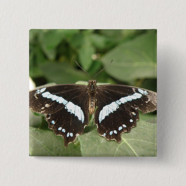 Black and White Tropical Butterfly Button (Front)