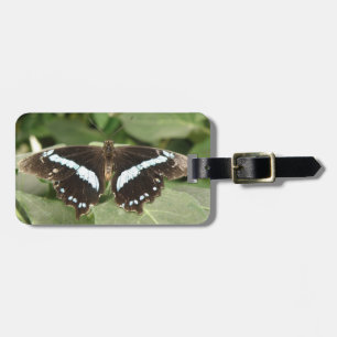 Black and White Tropical Butterfly Custom Luggage Tag