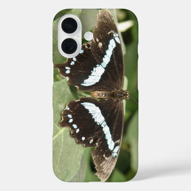 Black and White Tropical Butterfly iPhone Case (Back)