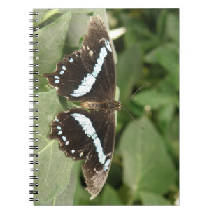 Black and White Tropical Butterfly Notebook