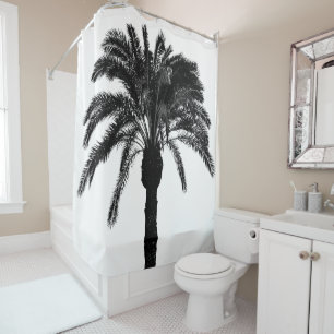 Black and white tropical palm tree