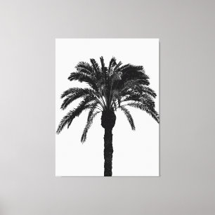 black and white  tropical palm tree canvas print