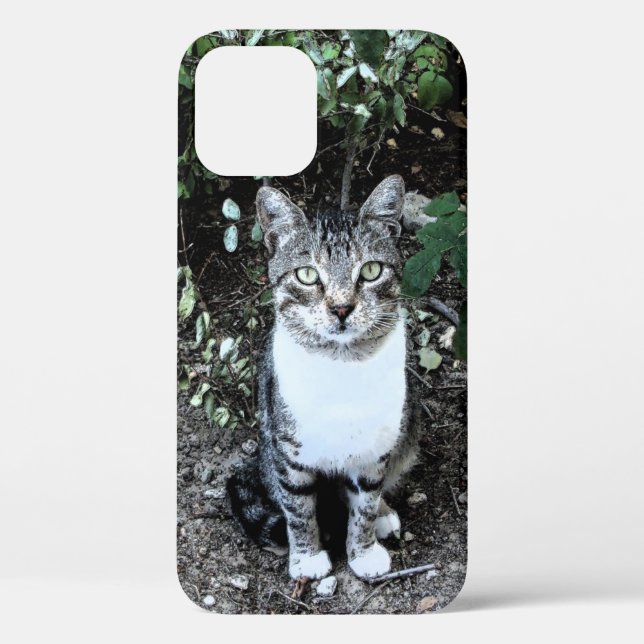 BLACK AND WHITE TURKISH CAT RONIN Case-Mate iPhone CASE (Back)