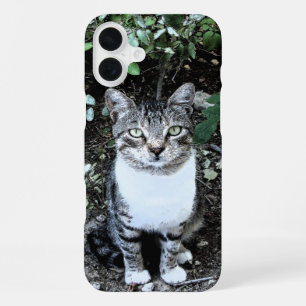 BLACK AND WHITE TURKISH CAT RONIN iPhone 16 PLUS CASE