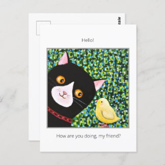 Black and white Tuxedo cat with chick Hello friend Postcard