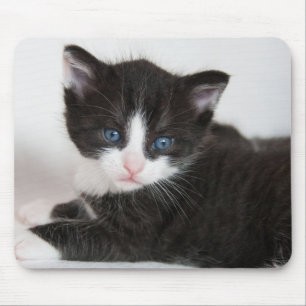 Black and White Tuxedo Kitten Mouse Pad