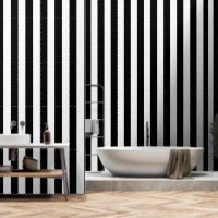 Black And White Ultra Wide 4 Inch Stripe