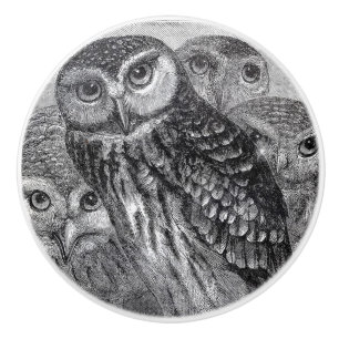 Black and White vintage Owls art Ceramic Knob