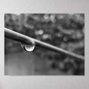 black and white water drop photo poster