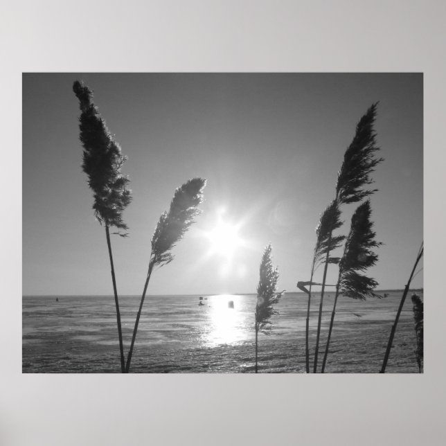 Black and White weeds Poster (Front)